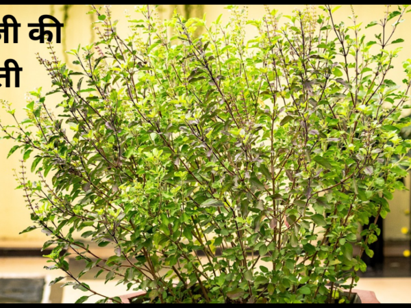 तुलसी जी की आरती