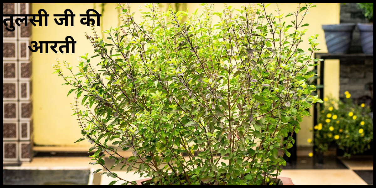 तुलसी जी की आरती