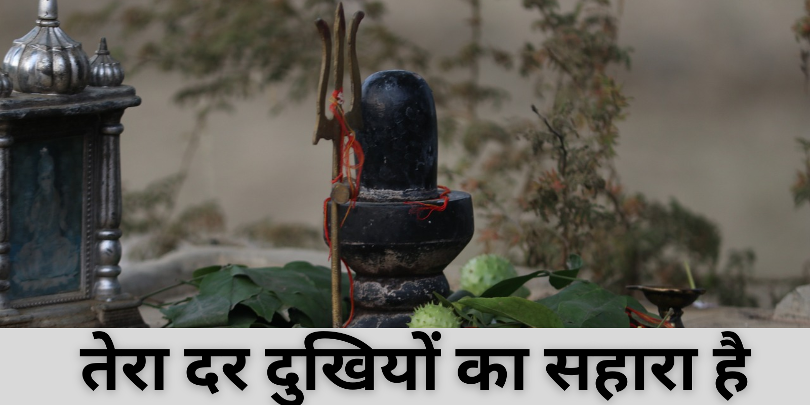 तेरा दर दुखियों का सहारा है LYRICS