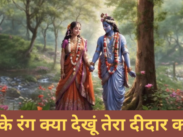 जगत के रंग क्या देखूं तेरा दीदार काफी है