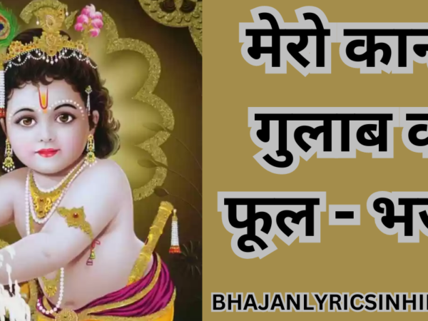 मेरो कान्हा गुलाब को फूल - भजन