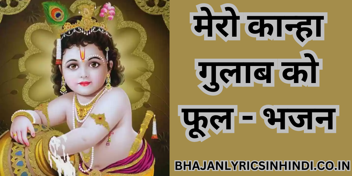 मेरो कान्हा गुलाब को फूल - भजन