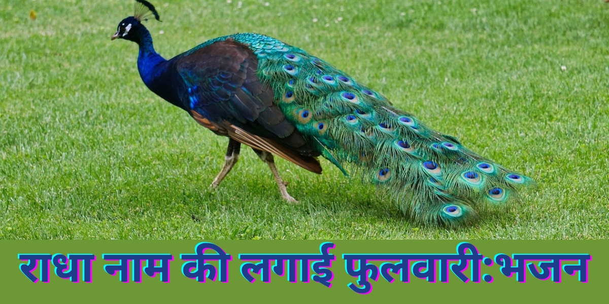 राधा नाम की लगाई फुलवारी:भजन